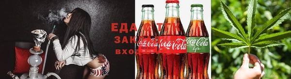 ПСИЛОЦИБИНОВЫЕ ГРИБЫ Михайлов