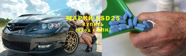 ПСИЛОЦИБИНОВЫЕ ГРИБЫ Михайлов