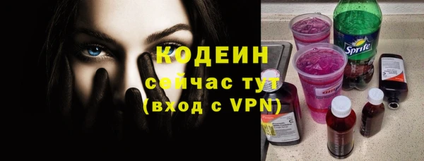ПСИЛОЦИБИНОВЫЕ ГРИБЫ Михайлов