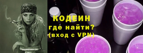 ПСИЛОЦИБИНОВЫЕ ГРИБЫ Михайлов