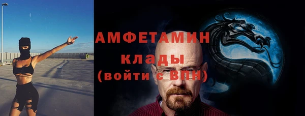 ПСИЛОЦИБИНОВЫЕ ГРИБЫ Михайлов