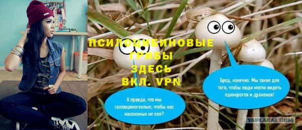ПСИЛОЦИБИНОВЫЕ ГРИБЫ Михайлов