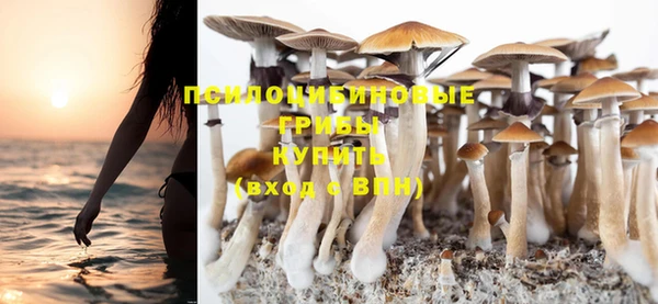 ПСИЛОЦИБИНОВЫЕ ГРИБЫ Михайлов
